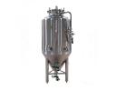 Beer Fermentation - DBB4007
